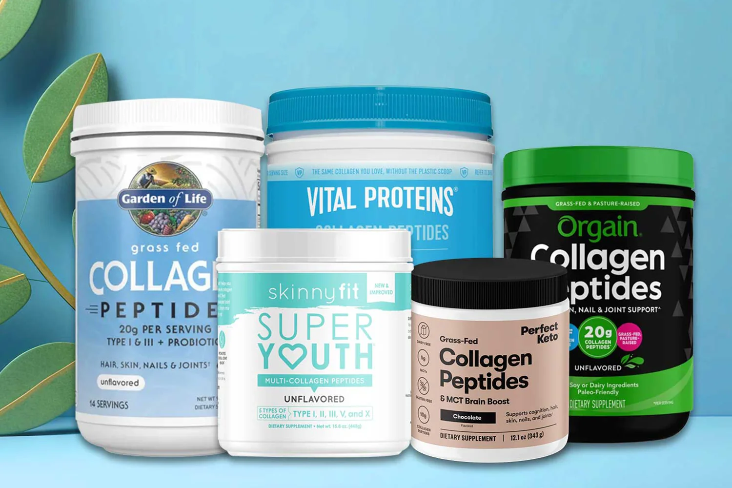 Best Collagen Peptides for Weight Loss in 2024 - Reviewology