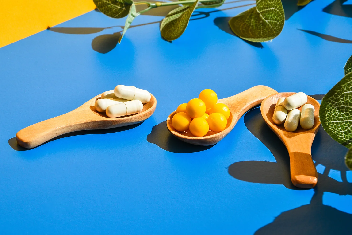 Basic Probiotics on wooden spoon on blue and yellow background.