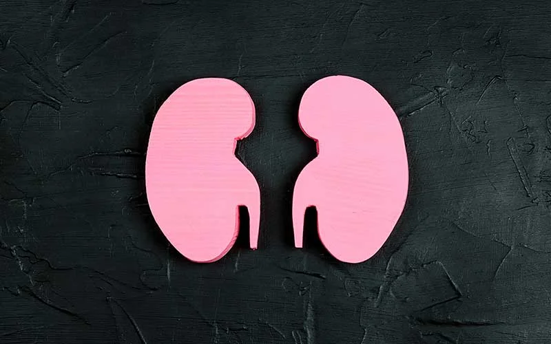 Pink human kidney symbol on black background.