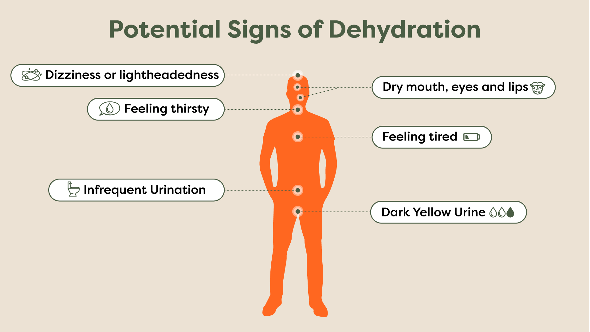Potential Signs Of Dehydration