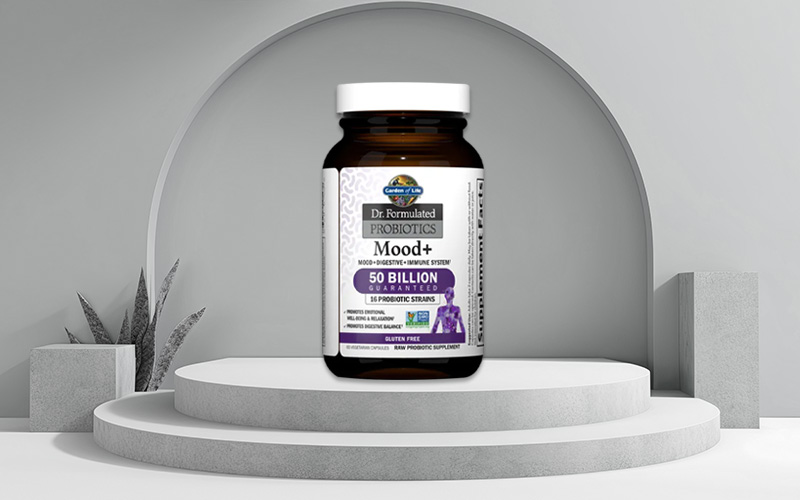 Best Probiotic Supplements of 2024 - Garden-of-Life-Dr.-Formulated-Probiotics-Mood+-Acidophilus-Probiotic-Supplement