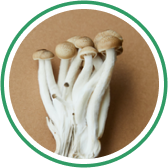 Superfood - Mushrooms