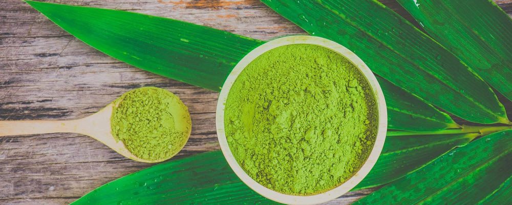 Super green powder in a bowl and scoop on a green leafy wooden background.